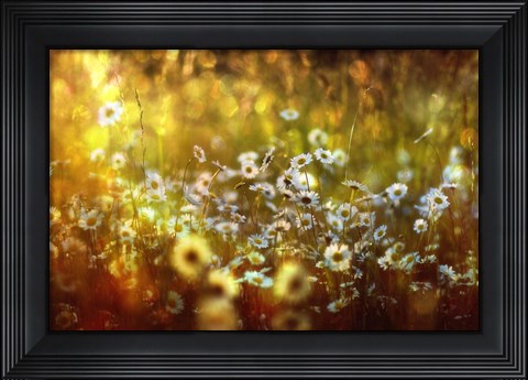 Framed Wonderland Print