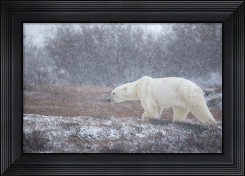 Framed Let it Snow! Print