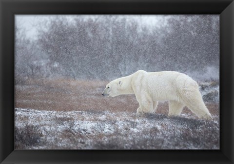 Framed Let it Snow! Print