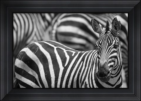 Framed Stripes Print