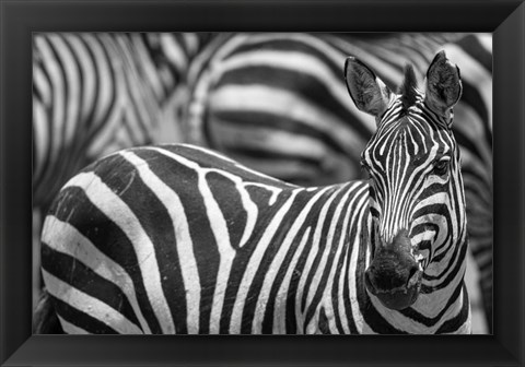 Framed Stripes Print