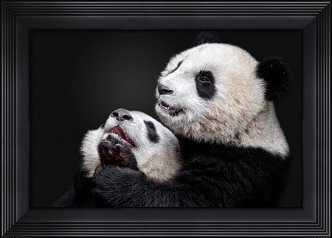 Framed Pandas Print