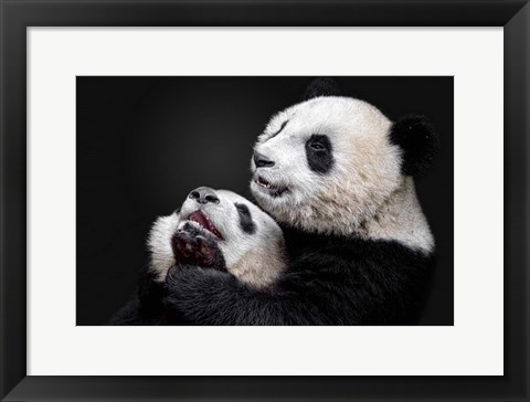 Framed Pandas Print