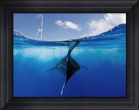 Framed Collision Course Print