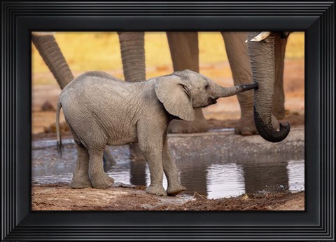 Framed Play with Me, Please! Print