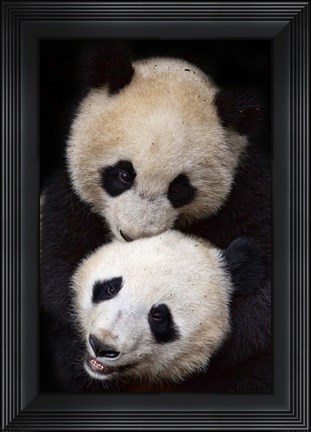 Framed Brothers Print