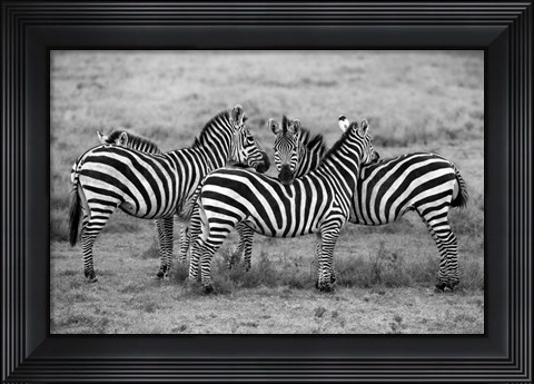 Framed Stripes Print