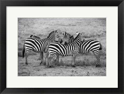 Framed Stripes Print