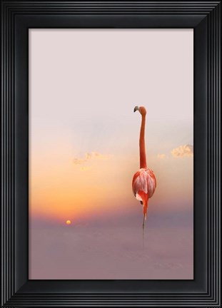 Framed Sunset Print