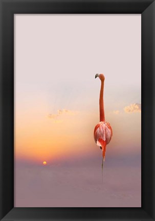 Framed Sunset Print