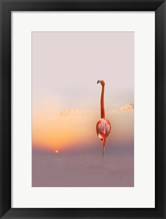 Framed Sunset Print