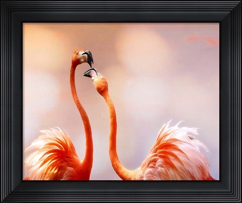 Framed Kiss Print