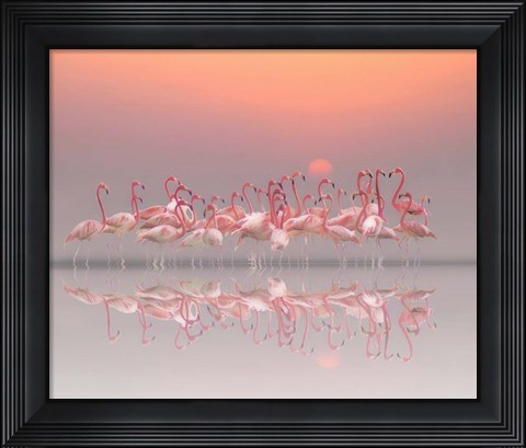 Framed Meeting Before Sunset Print