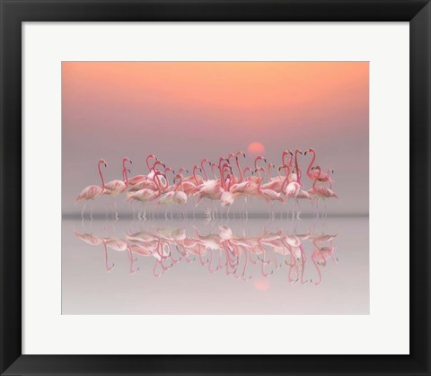 Framed Meeting Before Sunset Print