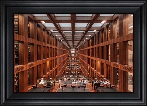 Framed Library in Berlin Print