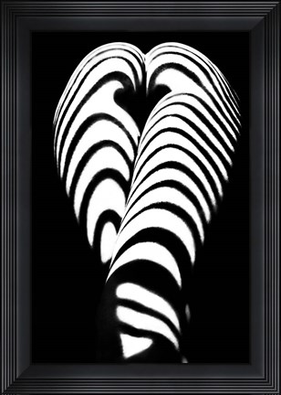 Framed Zebra Ass 2 Print