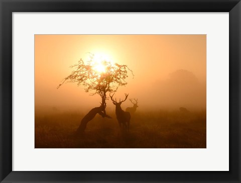 Framed Guardians of Light Print