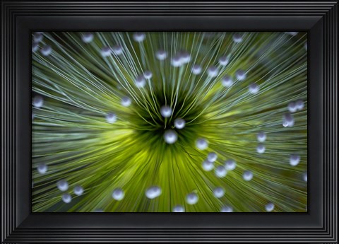 Framed Inverted Commas Print