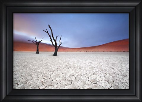 Framed Mist over Deadvlei Print