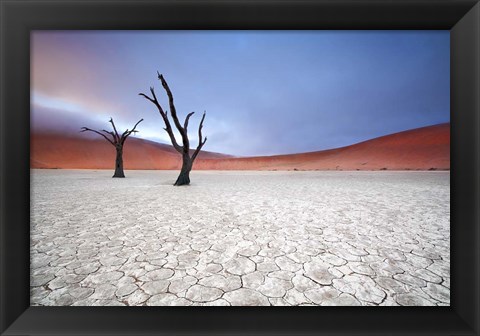 Framed Mist over Deadvlei Print