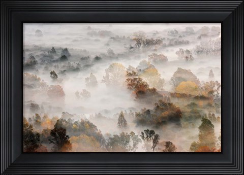 Framed Autumns Print