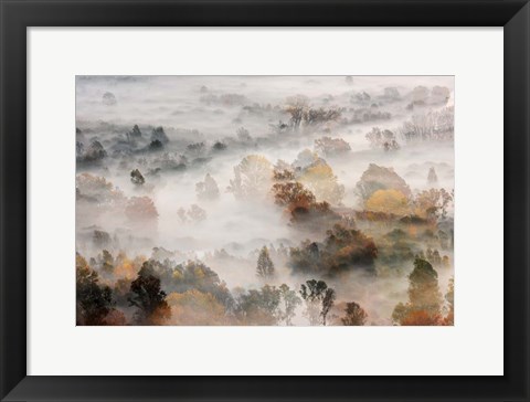 Framed Autumns Print