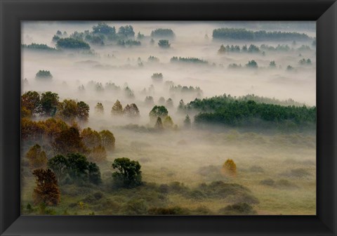 Framed Autumn Dream Print