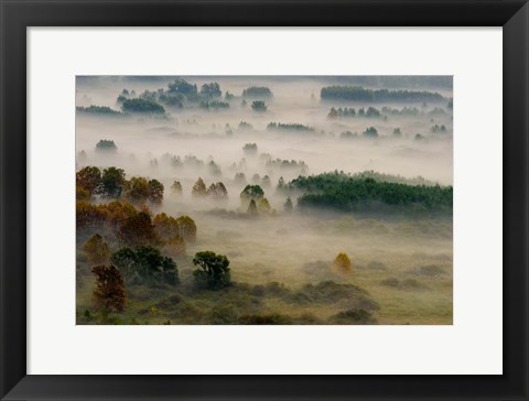 Framed Autumn Dream Print