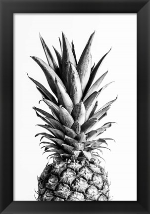 Framed Pineapple Black a White 1 Print