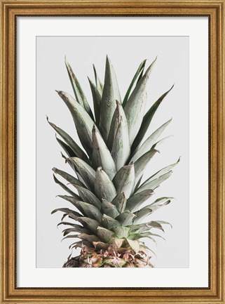Framed Pineapple Natural 2 Print