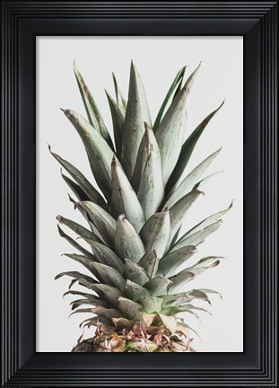 Framed Pineapple Natural 2 Print