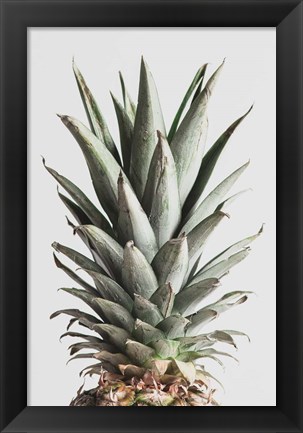 Framed Pineapple Natural 2 Print