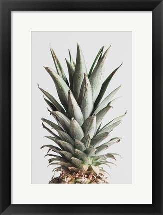 Framed Pineapple Natural 2 Print