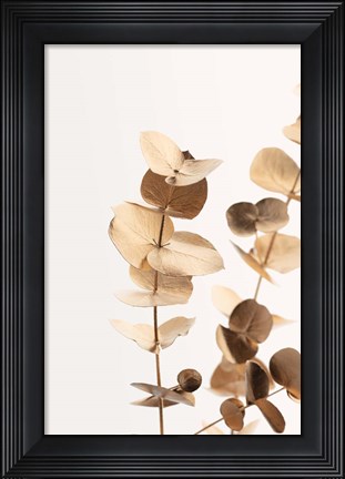 Framed Eucalyptus Gold No 1 Print