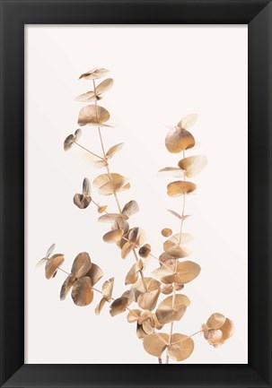 Framed Eucalyptus Gold No 4 Print