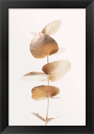 Framed Eucalyptus Gold No 6 Print