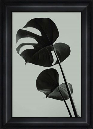 Framed Monstera Teal 1 Print