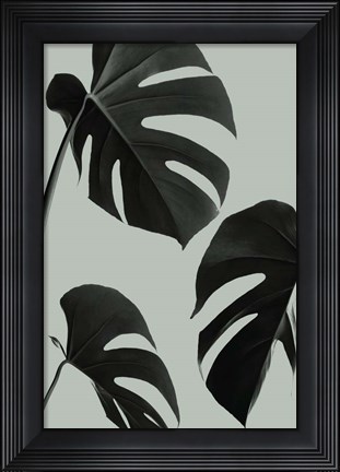 Framed Monstera Teal 5 Print