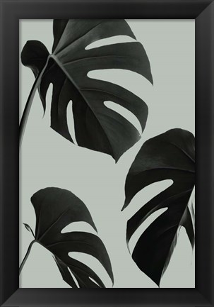 Framed Monstera Teal 5 Print