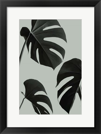 Framed Monstera Teal 5 Print