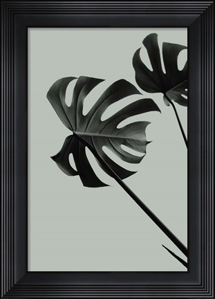 Framed Monstera Teal 9 Print