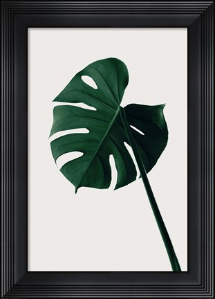 Framed Monstera Natural 7 Print