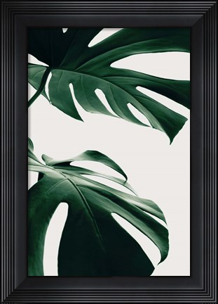 Framed Monstera Natural 12 Print