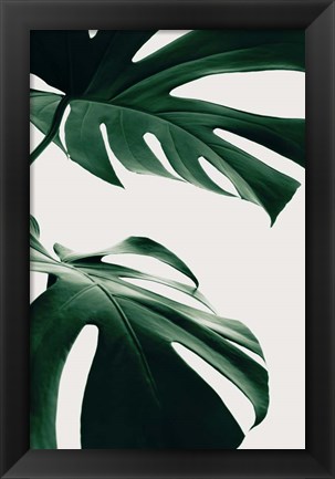 Framed Monstera Natural 12 Print