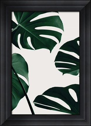 Framed Monstera Natural 2 Print