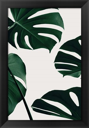 Framed Monstera Natural 2 Print