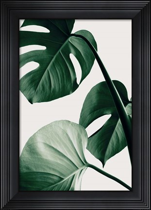 Framed Monstera Natural 42 Print