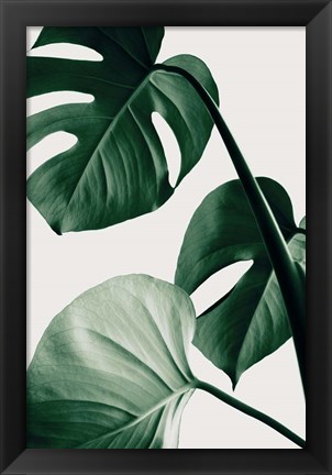 Framed Monstera Natural 42 Print