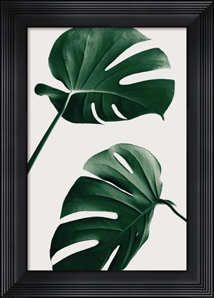 Framed Monstera Natural 46 Print