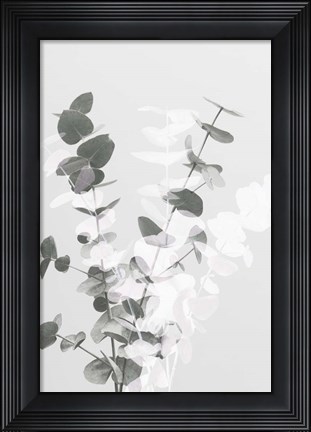 Framed Eucalyptus Creative 8 Print